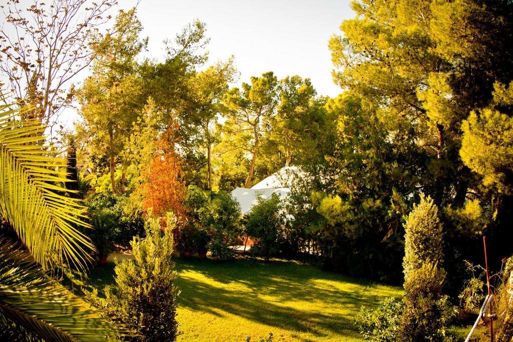 Hôtel Mont-Sant à Xàtiva Extérieur photo